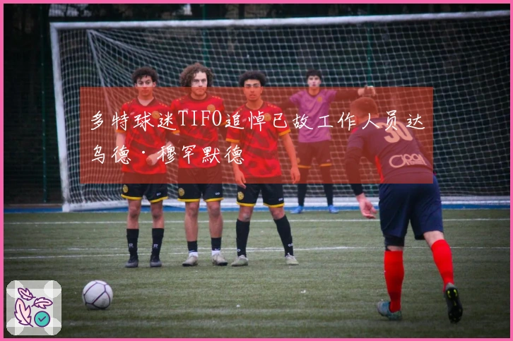 多特球迷TIFO追悼已故工作人员达乌德·穆罕默德