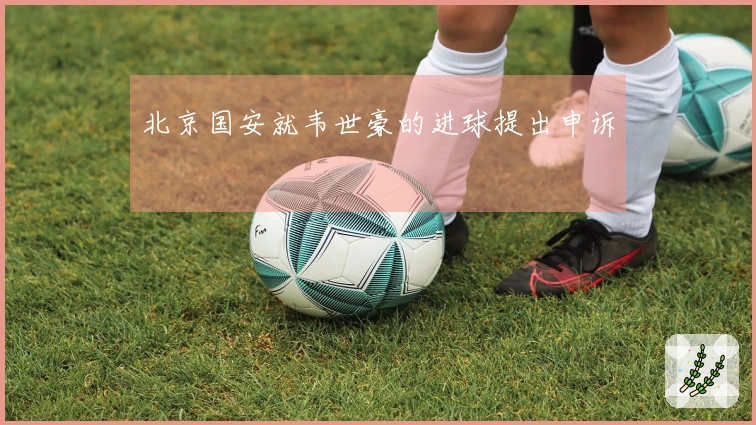 北京国安就韦世豪的进球提出申诉